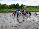 Về miền Tây lội đồng bắt cá ở Lung Cột Cầu Về miền Tây lội đồng bắt cá ở Lung Cột Cầu