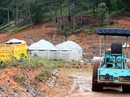 Ngang nhiên lấn chiếm đất rừng Ngang nhiên lấn chiếm đất rừng