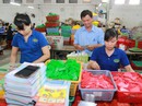 Trình Chính phủ phương án xử lý nợ BHXH tại doanh nghiệp phá sản Trình Chính phủ phương án xử lý nợ BHXH tại doanh nghiệp phá sản