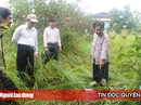 Kiến nghị kiểm điểm Chủ tịch huyện Phú Quốc Kiến nghị kiểm điểm Chủ tịch huyện Phú Quốc