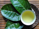 Lý do bạn nên uống trà xanh vào buổi sáng Lý do bạn nên uống trà xanh vào buổi sáng