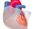 Dinh dưỡng cho tim khỏe Dinh dưỡng cho tim khỏe