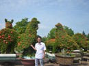 Chuyện của một người... mê kiểng Chuyện của một người... mê kiểng