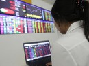 Chứng khoán giảm sâu khi sắp chạm 800 điểm
