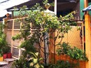 5 năm không thi hành được bản án 5 năm không thi hành được bản án