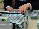 TS Vũ Viết Ngoạn: Giữ lãi suất hợp lý để người dân gửi tiết kiệm TS Vũ Viết Ngoạn: Giữ lãi suất hợp lý để người dân gửi tiết kiệm