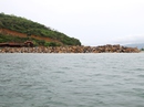 Phạt chủ dự án "xẻ thịt" Hòn Rùa 175 triệu đồng Phạt chủ dự án "xẻ thịt" Hòn Rùa 175 triệu đồng