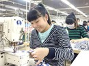 Nỗi niềm lao động xa quê Nỗi niềm lao động xa quê
