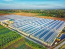 Làm nông nghiệp không thể đi một mình! Làm nông nghiệp không thể đi một mình!