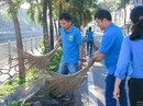 Phát động giữ gìn TP xanh - sạch - đẹp Phát động giữ gìn TP xanh - sạch - đẹp