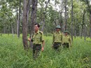 Gian nan cuộc chiến chống săn trộm Gian nan cuộc chiến chống săn trộm