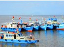 Thu hồi bằng khen "sếp" chi cục thủy sản vì kỷ luật nhân viên sai thẩm quyền Thu hồi bằng khen "sếp" chi cục thủy sản vì kỷ luật nhân viên sai thẩm quyền