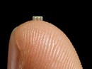 Trung Quốc dùng chip nhỏ bằng hạt gạo để xâm nhập các công ty Mỹ Trung Quốc dùng chip nhỏ bằng hạt gạo để xâm nhập các công ty Mỹ