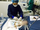 Cô tiên của trẻ EB Cô tiên của trẻ EB