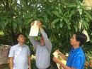 Thú vị dịch vụ trồng cây qua mạng Thú vị dịch vụ trồng cây qua mạng