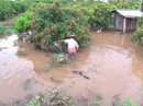 Vỡ đê vì đặt cống ẩu, cuộc sống người dân cù lao bị đảo lộn Vỡ đê vì đặt cống ẩu, cuộc sống người dân cù lao bị đảo lộn