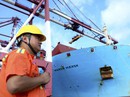 Mỹ - Trung chiến tranh thương mại, kinh tế thế giới "vạ lây" Mỹ - Trung chiến tranh thương mại, kinh tế thế giới "vạ lây"