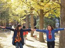 Mua tour dịp Tết: Coi chừng dỏm, giả! Mua tour dịp Tết: Coi chừng dỏm, giả!