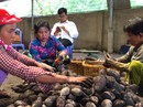 Trung Quốc ngừng mua khoai lang, nông dân vẫn “liều mình” xuống vụ mới Trung Quốc ngừng mua khoai lang, nông dân vẫn “liều mình” xuống vụ mới