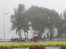 Bão số 9 đã vào Bà Rịa - Vũng Tàu, mưa rất to, cây ngã đổ, tàu chìm Bão số 9 đã vào Bà Rịa - Vũng Tàu, mưa rất to, cây ngã đổ, tàu chìm