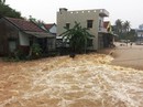 Lũ quay lại, Phú Yên ngập nặng Lũ quay lại, Phú Yên ngập nặng