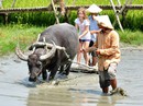 Du lịch Việt Nam nhìn từ vụ chia đôi đoàn 4.000 khách Du lịch Việt Nam nhìn từ vụ chia đôi đoàn 4.000 khách