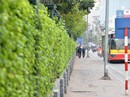 Câu chuyện vỉa hè Câu chuyện vỉa hè