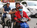 Sẽ mở rộng các chế độ hưởng BHXH tự nguyện Sẽ mở rộng các chế độ hưởng BHXH tự nguyện