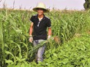 Tiến sĩ "rủ nhau" về quê làm nông nghiệp organic Tiến sĩ "rủ nhau" về quê làm nông nghiệp organic