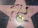 Bắt kẻ phá hoại ngôi sao của Tổng thống Donald Trump Bắt kẻ phá hoại ngôi sao của Tổng thống Donald Trump