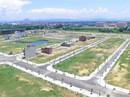 Ruộng hoang bất ngờ tăng giá: Cuộc “càn quét” chưa từng có Ruộng hoang bất ngờ tăng giá: Cuộc “càn quét” chưa từng có