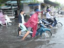 Cuối năm, nhiều tuyến đường ở Bạc Liêu chìm trong biển nước Cuối năm, nhiều tuyến đường ở Bạc Liêu chìm trong biển nước