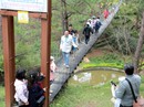 Du khách đội rét ùn ùn lên Đà Lạt dịp Tết dương lịch Du khách đội rét ùn ùn lên Đà Lạt dịp Tết dương lịch