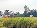 Kỳ tích xuất khẩu 2018 Kỳ tích xuất khẩu 2018
