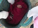 Phát hiện bé sơ sinh trong chiếc giỏ ở ngoài đường Phát hiện bé sơ sinh trong chiếc giỏ ở ngoài đường