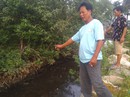 Lãnh đạo huyện Phú Quốc lên tiếng việc dân “tố” nhà máy rác xả nước thải ra biển Lãnh đạo huyện Phú Quốc lên tiếng việc dân “tố” nhà máy rác xả nước thải ra biển