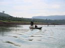 Tết không quê hương Tết không quê hương