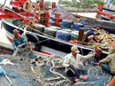 Đón giao thừa giữa trùng khơi Đón giao thừa giữa trùng khơi