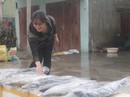 Ngư dân trúng đậm cá thu vào những ngày giáp Tết Mậu Tuất Ngư dân trúng đậm cá thu vào những ngày giáp Tết Mậu Tuất
