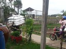 Buôn lậu hoành hành ở vùng biên Buôn lậu hoành hành ở vùng biên