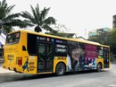 Hai tuyến xe buýt miễn phí ra vào sân bay Tân Sơn Nhất dịp Tết Hai tuyến xe buýt miễn phí ra vào sân bay Tân Sơn Nhất dịp Tết
