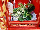Chưa khai ấn, người dân đã nhét đầy tiền lẻ vào kiệu ấn Chưa khai ấn, người dân đã nhét đầy tiền lẻ vào kiệu ấn
