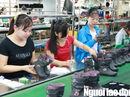 Mức tiền lãi chậm nộp BHXH, BHYT, bảo hiểm thất nghiệp Mức tiền lãi chậm nộp BHXH, BHYT, bảo hiểm thất nghiệp
