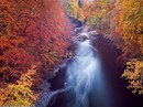 Khám phá Scotland qua những bức ảnh tuyệt đẹp Khám phá Scotland qua những bức ảnh tuyệt đẹp