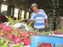 Trung Quốc "siết" nhập khẩu trái cây từ Việt Nam Trung Quốc "siết" nhập khẩu trái cây từ Việt Nam