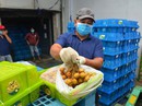 CPTPP vẫn "nặng ký" CPTPP vẫn "nặng ký"