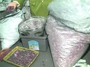 Loay hoay với hậu kiểm? Loay hoay với hậu kiểm?