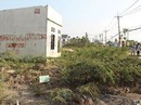 Những con “chim mồi” trong cái bẫy đất nền Những con “chim mồi” trong cái bẫy đất nền