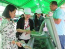 Hỗ trợ phát triển chuỗi nông sản sạch Hỗ trợ phát triển chuỗi nông sản sạch