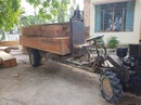 Kiểm lâm bị tố thờ ơ với nạn phá rừng Kiểm lâm bị tố thờ ơ với nạn phá rừng